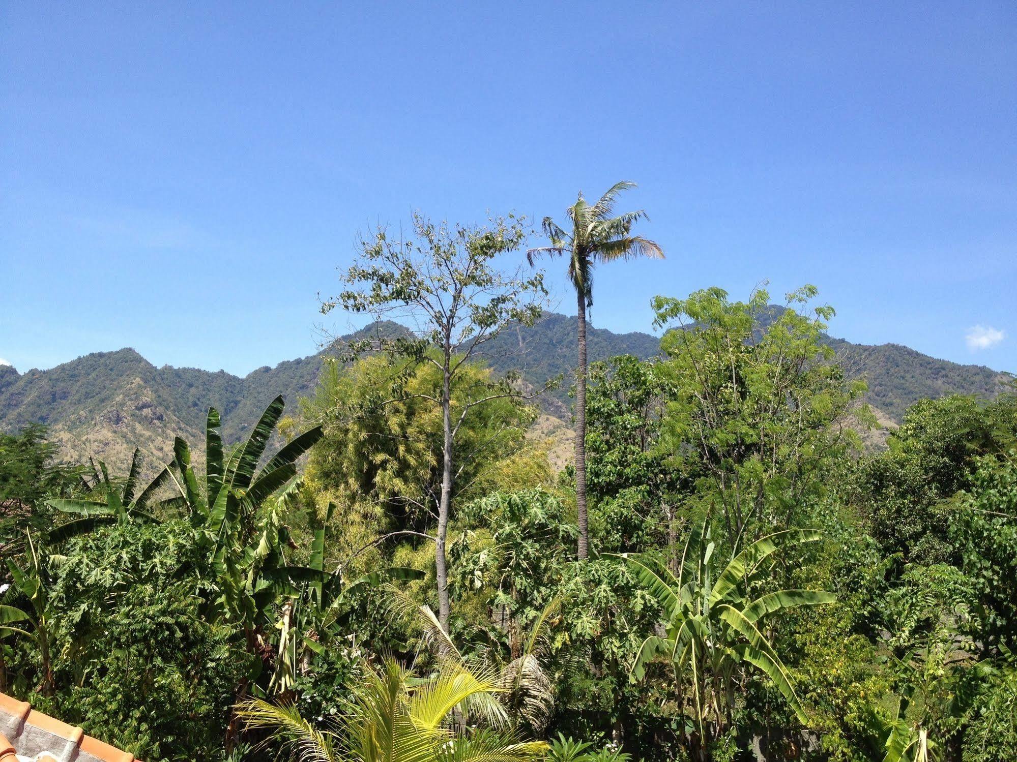 Hotel Hibiscus House Bali Pemuteran Zewnętrze zdjęcie