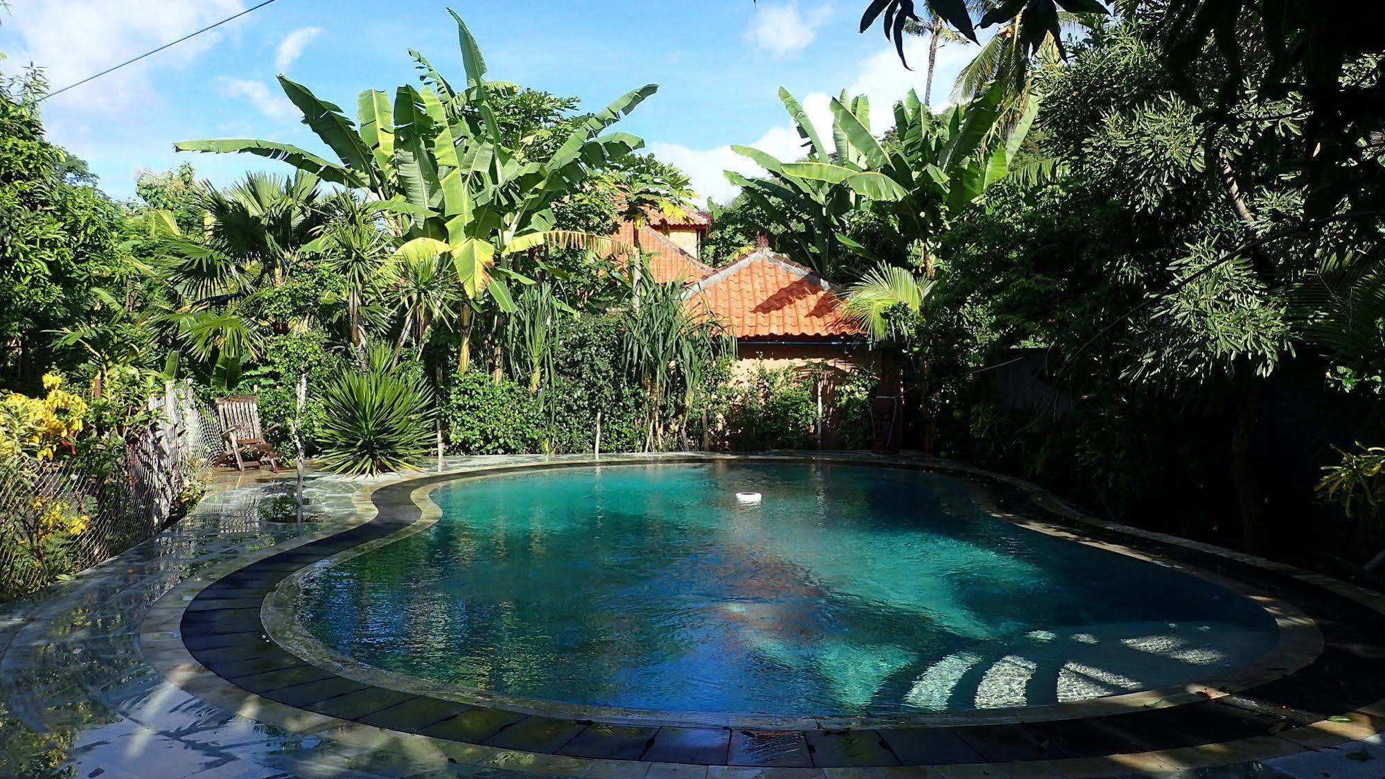 Hotel Hibiscus House Bali Pemuteran Zewnętrze zdjęcie